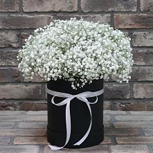Цветочная композиция из Гипсофила в шляпной коробке #REPLACE_PRED# Орево