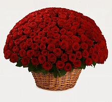 Премиум букет из: Розы в Орево