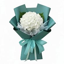 Букет цветов из:  Гортензия #REPLACE_PRED# Орево